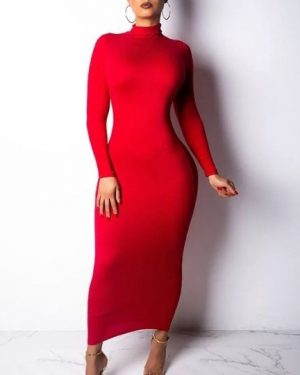 Ximena Turtleneck Dress