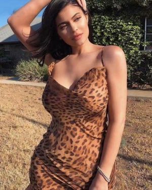 Luna Sexy Leopard Dress