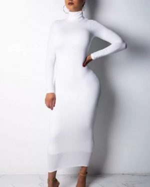 Ximena Turtleneck Dress